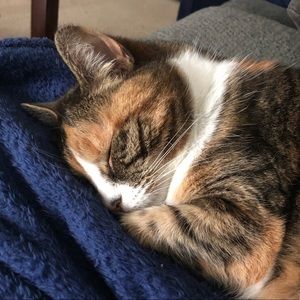 Meet your Posher, Kyra